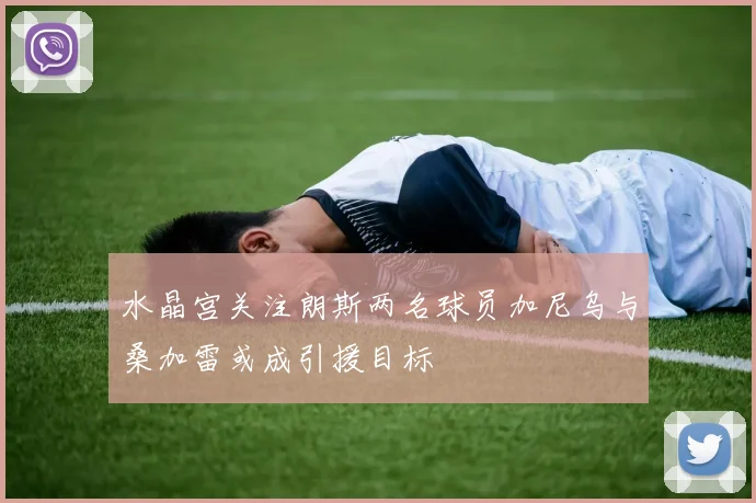 水晶宫关注朗斯两名球员加尼乌与桑加雷或成引援目标
