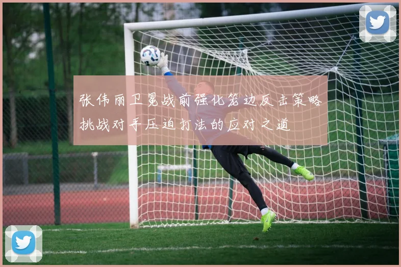 张伟丽卫冕战前强化笼边反击策略挑战对手压迫打法的应对之道